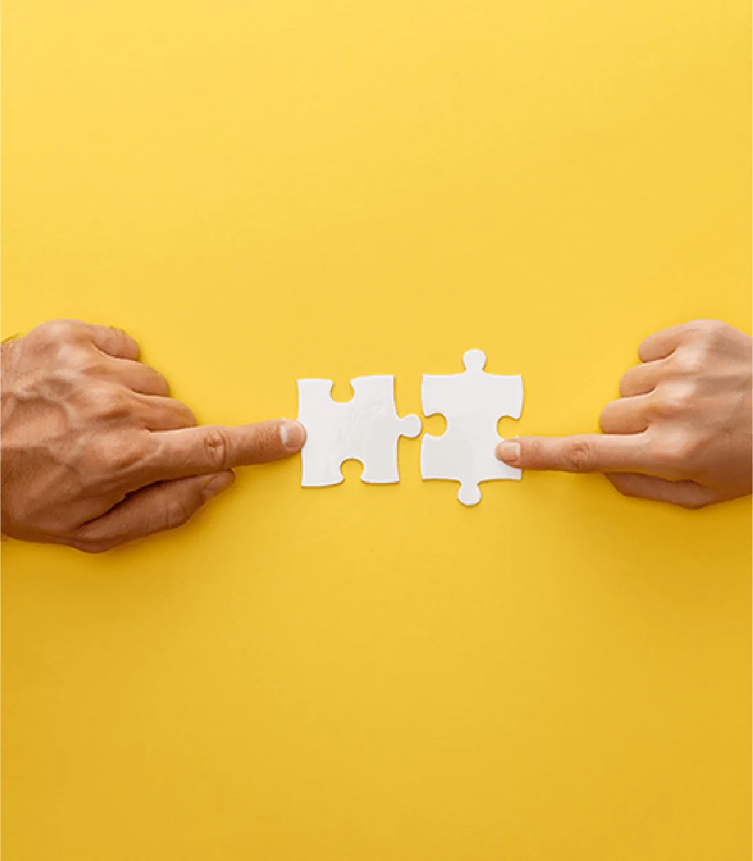 Pièces de puzzle matchées